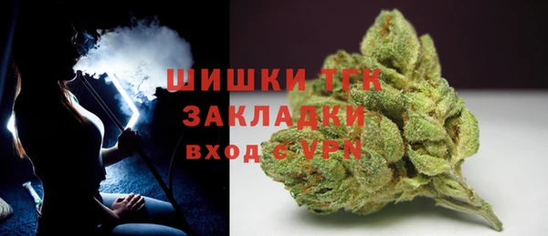 дмт Бородино