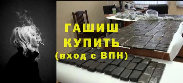 дмт Бородино