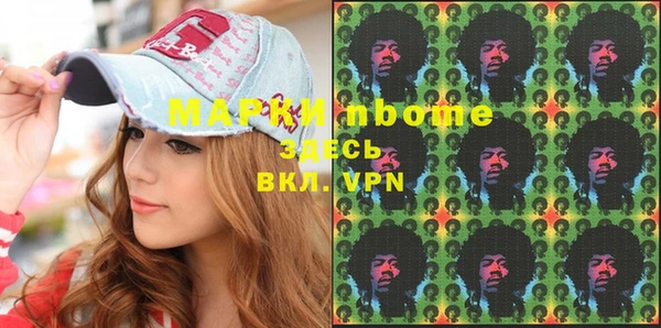дмт Бородино