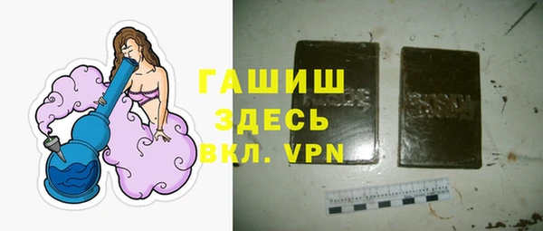 дмт Бородино