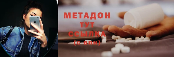 дмт Бородино