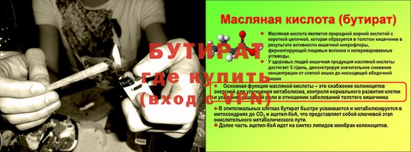 дмт Бородино