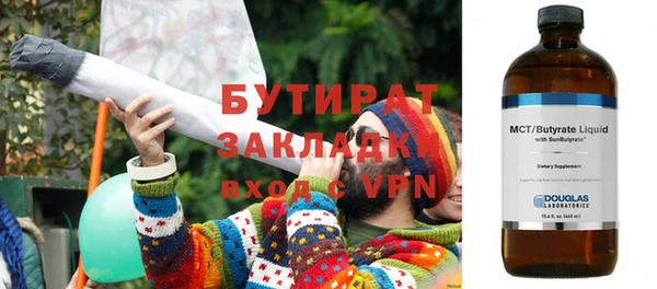 дмт Бородино