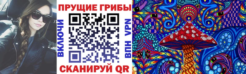 Галлюциногенные грибы Psilocybe  Пенза 