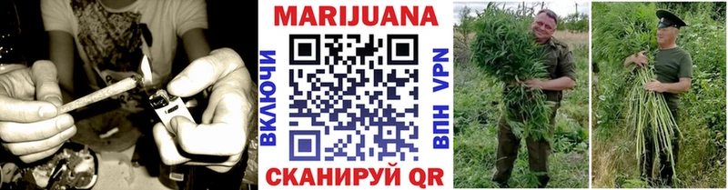 Бошки марихуана White Widow блэк спрут зеркало Пенза наркота